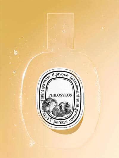 3 DoSon-Brume-RVB copie