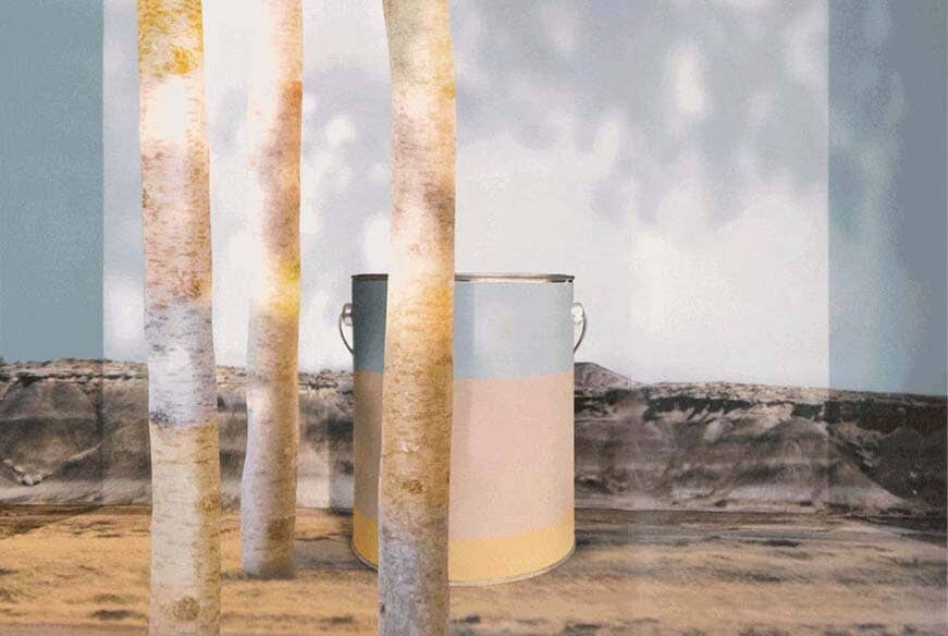 images institutionelle par Laure & Sarah